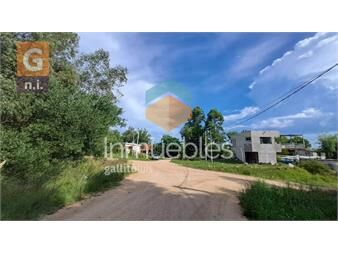 https://www.gallito.com.uy/terreno-en-punta-del-este-el-tesoro-ref-7029-inmuebles-26973758