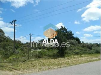https://www.gallito.com.uy/terreno-en-punta-colorada-ref-te200496-inmuebles-20297129