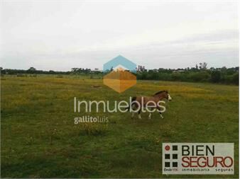 https://www.gallito.com.uy/chacra-de-2-has-con-casa-de-3-dormitorios-en-venta-en-barr-inmuebles-24284125