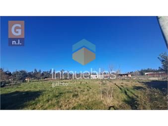https://www.gallito.com.uy/terreno-en-punta-del-este-el-tesoro-ref-6646-inmuebles-26995605