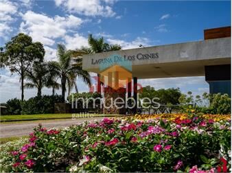 https://www.gallito.com.uy/terreno-en-venta-laguna-de-los-cisnes-punta-del-este-inmuebles-26130208