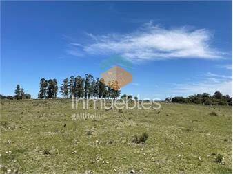 https://www.gallito.com.uy/muy-linda-parcela-de-campo-sobre-ruta-a-pocos-km-de-maldona-inmuebles-27042334