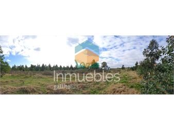 https://www.gallito.com.uy/21-has-entre-estacion-floresta-y-soca-inmuebles-25377377