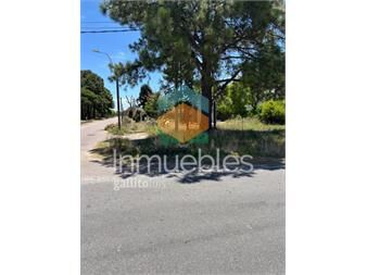 https://www.gallito.com.uy/venta-terrreno-esquina-al-sur-prox-rambla-inmuebles-27038173