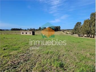 https://www.gallito.com.uy/venta-de-chacra-en-atlantida-inmuebles-26469408