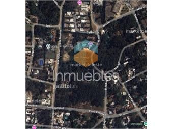 https://www.gallito.com.uy/excelente-terreno-en-montoya-inmuebles-27042594