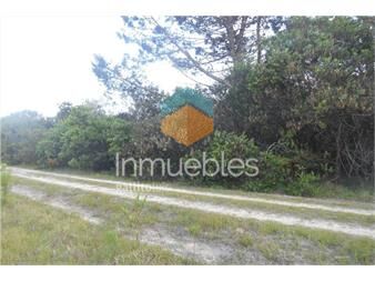 https://www.gallito.com.uy/terreno-en-venta-en-oceania-del-polonio-inmuebles-27068871