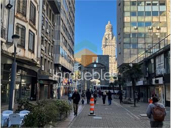 https://www.gallito.com.uy/edificio-en-venta-en-peatonal-sarandi-inmuebles-25831200