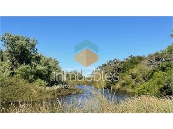 https://www.gallito.com.uy/campo-en-san-carlos-inmuebles-26302605