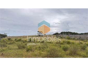 https://www.gallito.com.uy/campo-de-78-has-en-garzon-inmuebles-26598529