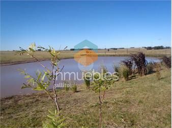 https://www.gallito.com.uy/chacra-de-10-hectareas-en-jose-ignacio-inmuebles-23378153