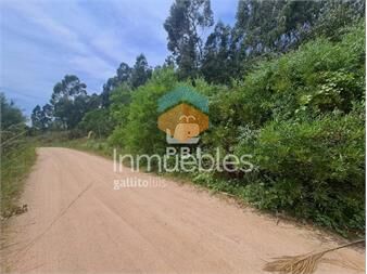 https://www.gallito.com.uy/terreno-con-excelente-ubicacion-en-verdemar-ref-pbi133-inmuebles-24956681