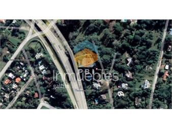 https://www.gallito.com.uy/terreno-en-punta-ballena-sobre-la-ruta-ref-pbi3235-inmuebles-25078233