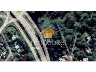 https://www.gallito.com.uy/terreno-en-punta-ballena-sobre-la-ruta-ref-pbi3236-inmuebles-25078234
