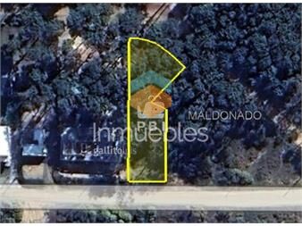 https://www.gallito.com.uy/terreno-en-venta-en-ocean-park-punta-ballena-ref-pbi1-inmuebles-27042691