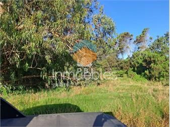 https://www.gallito.com.uy/terreno-balneario-buenos-aires-ref-pbi13071-inmuebles-24654342