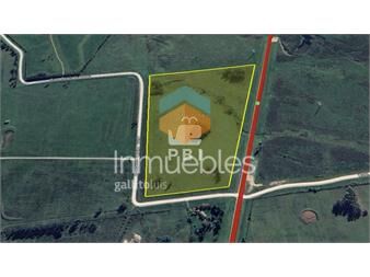 https://www.gallito.com.uy/chacra-en-venta-en-laguna-del-sauce-punta-ballena-ref-inmuebles-27049535