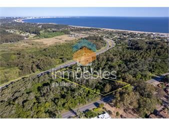 https://www.gallito.com.uy/terreno-en-lomo-de-la-ballena-punta-ballena-ref-pbi129-inmuebles-26773604