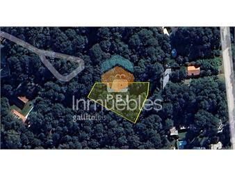 https://www.gallito.com.uy/terreno-en-portezuelo-bosque-punta-ballena-ref-pbi1262-inmuebles-25063680