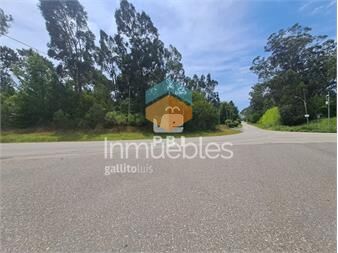 https://www.gallito.com.uy/terreno-con-excelente-ubicacion-el-golf-punta-del-este-inmuebles-24956720