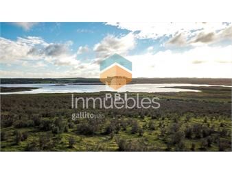 https://www.gallito.com.uy/venta-de-chacra-en-laguna-del-sauce-punta-del-este-ref-inmuebles-23521889