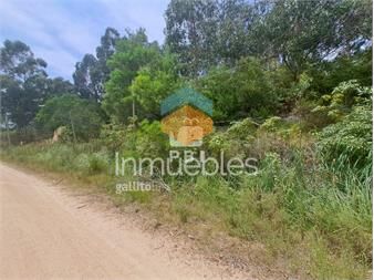 https://www.gallito.com.uy/terreno-con-excelente-ubicacion-en-verdemar-ref-pbi133-inmuebles-24956682