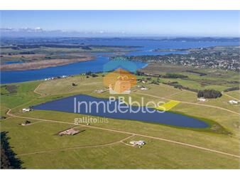 https://www.gallito.com.uy/terreno-en-laguna-de-los-cisnes-ref-pbi12680-inmuebles-24202432