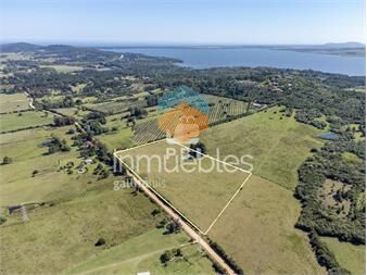 https://www.gallito.com.uy/chacra-en-venta-en-la-pataia-punta-ballena-ref-pbi143-inmuebles-26852362