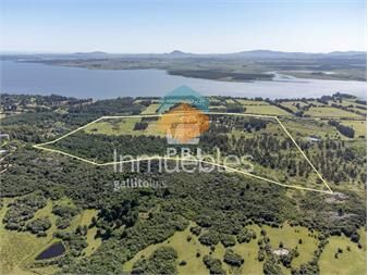 https://www.gallito.com.uy/chacra-en-venta-en-laguna-del-sauce-punta-ballena-ref-inmuebles-26852361