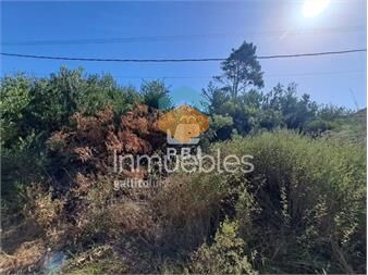 https://www.gallito.com.uy/venta-de-lote-oportunidad-con-vista-al-mar-ref-pb-inmuebles-26779549