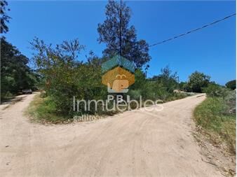 https://www.gallito.com.uy/lote-en-venta-ref-pbi14305-inmuebles-26574811