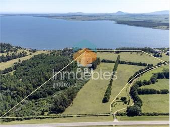 https://www.gallito.com.uy/chacra-en-venta-en-laguna-del-sauce-punta-ballena-ref-inmuebles-26852364