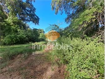 https://www.gallito.com.uy/lote-en-venta-gran-oportunidad-de-inversion-ref-pbi146-inmuebles-26924224