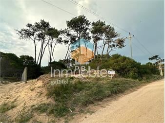https://www.gallito.com.uy/terreno-en-venta-chihuahua-ref-pbi887-inmuebles-25372761