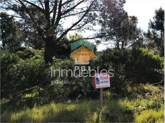 https://www.gallito.com.uy/terreno-en-venta-tio-tom-ref-pbi868-inmuebles-23062958