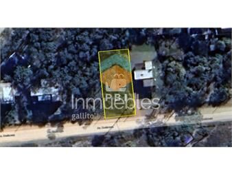https://www.gallito.com.uy/terreno-en-ocean-park-maldonado-ref-pbi3027-inmuebles-23275964