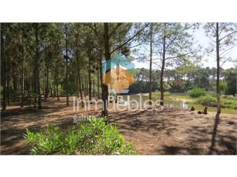 https://www.gallito.com.uy/terreno-en-chihuahua-punta-ballena-ref-pbi3045-inmuebles-24760471