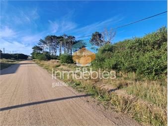 https://www.gallito.com.uy/terreno-en-balneario-de-buenos-aires-ref-pbi13062-inmuebles-24646401