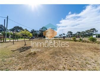 https://www.gallito.com.uy/lote-en-tio-tom-punta-ballena-ref-pbi2939-inmuebles-23108086