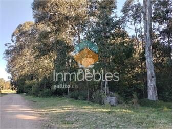 https://www.gallito.com.uy/venta-de-lote-en-sauce-de-portezuelo-ref-pbi2890-inmuebles-24591012