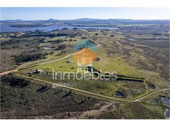 https://www.gallito.com.uy/chacra-3-dormitorios-en-laguna-del-sauce-punta-ballena-r-inmuebles-23085681