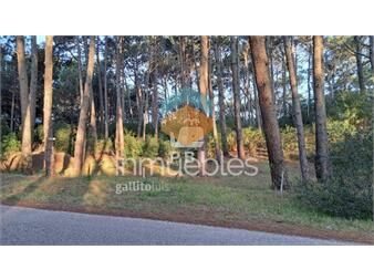 https://www.gallito.com.uy/venta-de-lote-en-club-del-lago-ref-pbi2842-inmuebles-23066149