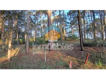 https://www.gallito.com.uy/venta-de-lote-en-club-del-lago-ref-pbi2841-inmuebles-23066148