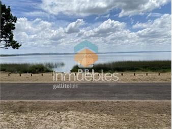 https://www.gallito.com.uy/terreno-frente-a-la-laguna-en-club-del-lago-punta-ballena-inmuebles-23134262