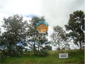 https://www.gallito.com.uy/lote-en-laguna-de-los-cisnes-punta-ballena-ref-pbi2703-inmuebles-23065814