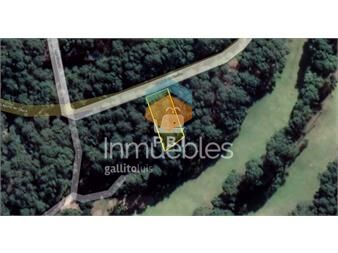 https://www.gallito.com.uy/lote-en-club-del-lago-punta-ballena-ref-pbi2705-inmuebles-23065816