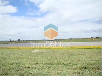 https://www.gallito.com.uy/lote-en-laguna-de-los-cisnes-punta-ballena-ref-pbi2734-inmuebles-23065848