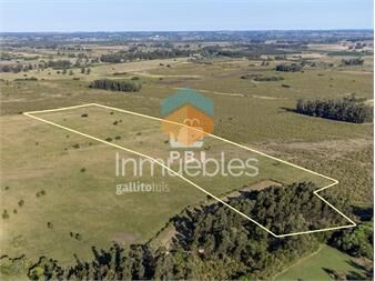 https://www.gallito.com.uy/venta-de-chacra-en-las-vertientes-punta-ballena-ref-pb-inmuebles-23082165