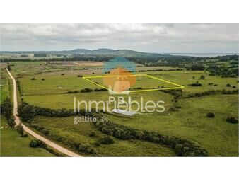 https://www.gallito.com.uy/venta-de-chacra-en-la-pataia-punta-ballena-ref-pbi2141-inmuebles-23082131