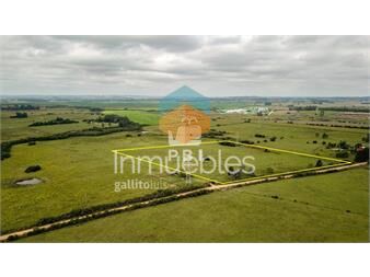 https://www.gallito.com.uy/venta-de-chacra-en-la-pataia-punta-ballena-ref-pbi2134-inmuebles-23082125